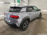 C4 Cactus