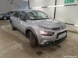 C4 Cactus