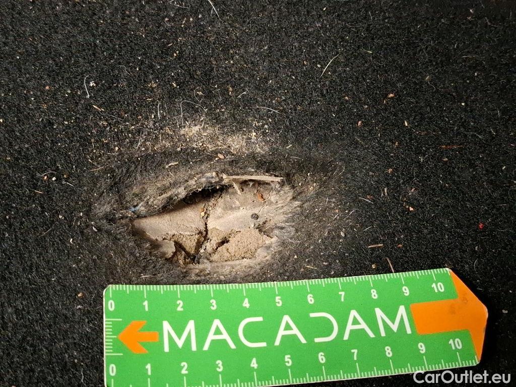  Skoda  Kodiaq  Business 2.0 TDI 150CV BVA7 E6d #16