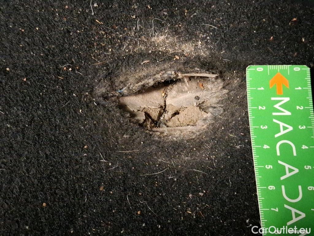  Skoda  Kodiaq  Business 2.0 TDI 150CV BVA7 E6d #17