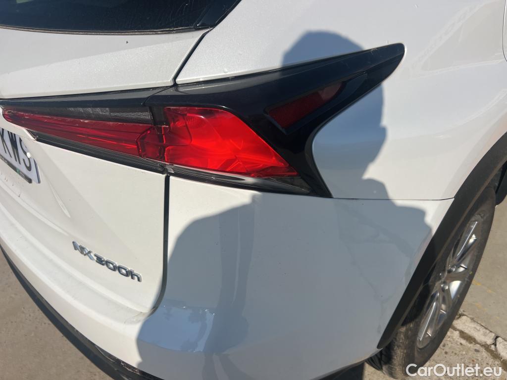  Lexus  NX LEXUS  / 2017 / 5P / todoterreno 2.5 300h Business Navigation 2WD MY2019(CXR) #3