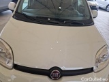  Fiat  Panda FIAT  / 2011 / 5P / BERLINA 1.0 FIREFLY 70CV SeS HYBRID #21