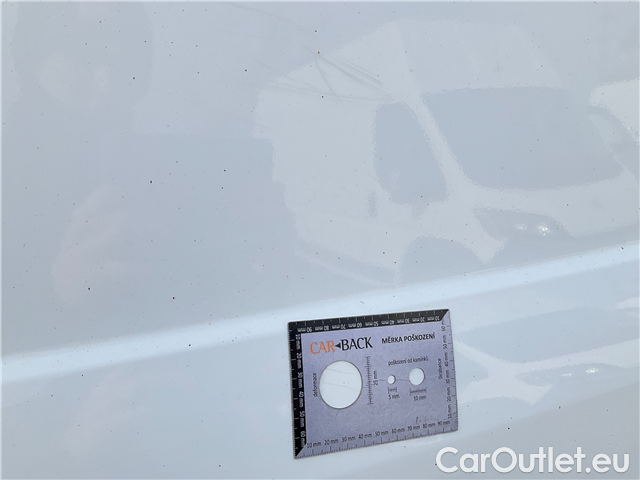  Ford  Transit Tr.TDCi96 350 TREND L3 FWD #17