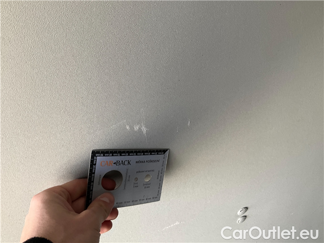  Ford  Transit Tr.TDCi96 350 TREND L3 FWD #21