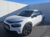C4 Cactus