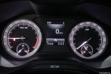  Skoda  Karoq  TDI 110 Ambition 4x4 Aut #11