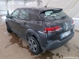 C4 Cactus