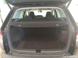  Skoda  Karoq  Business 2.0 TDI 115CV BVA7 E6d #10