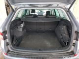  Skoda  Kodiaq  Business 2.0 TDI 150CV BVA7 E6d #10