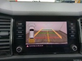  Skoda  Kodiaq  Business 2.0 TDI 150CV BVA7 E6d #12