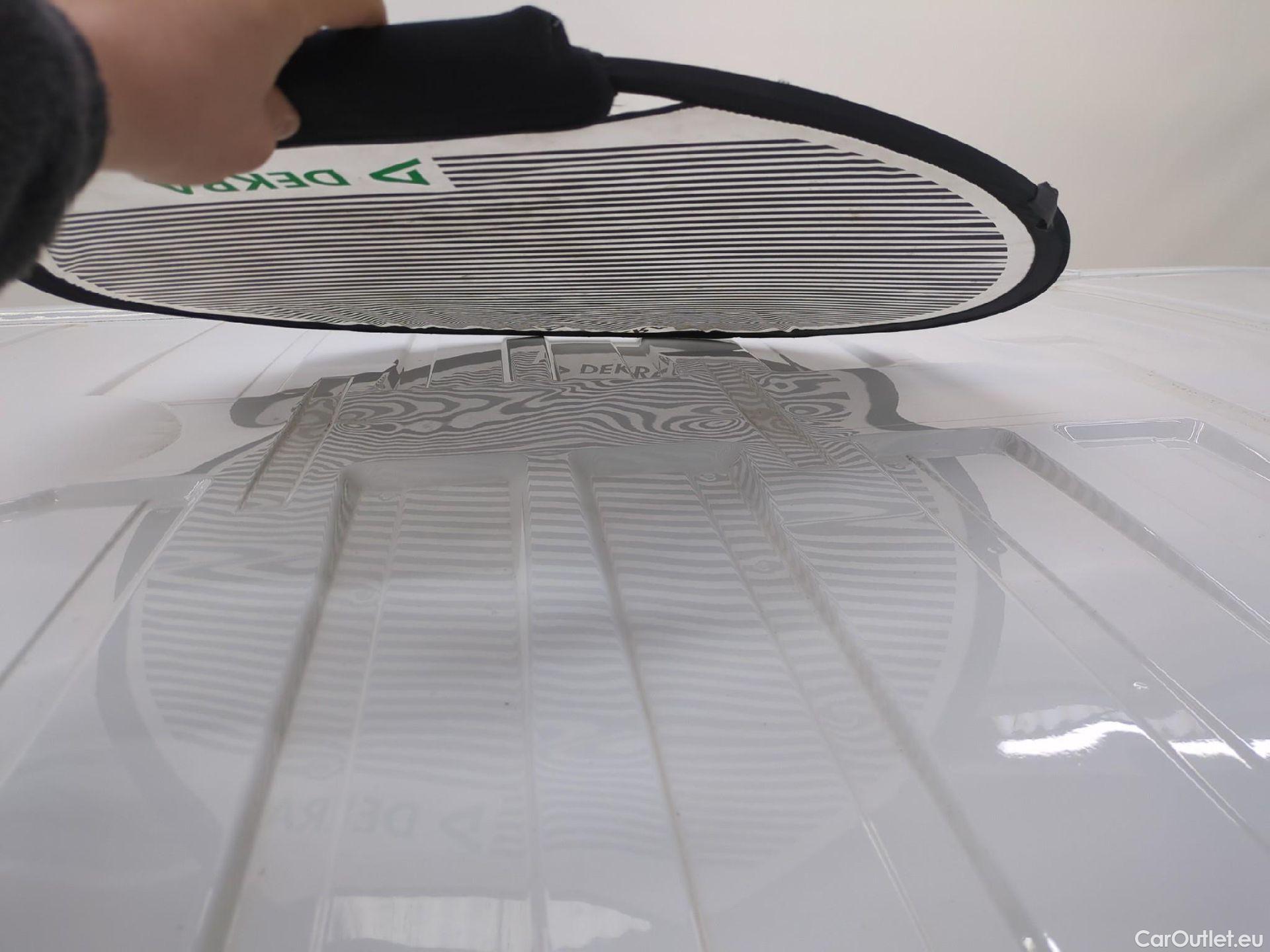  Renault  Trafic  Fourgon L1H1 3T Grand Confort 2.0 dCi 130CV BVM6 E6d #29