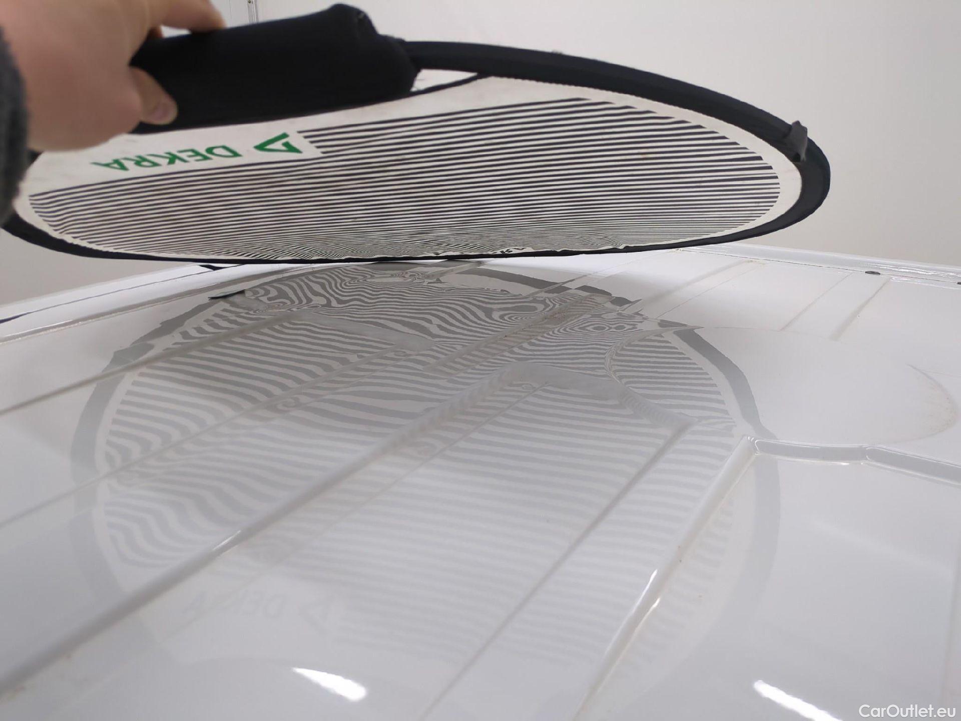  Renault  Trafic  Fourgon L1H1 3T Grand Confort 2.0 dCi 130CV BVM6 E6d #31