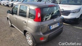  Fiat  Panda 1.0 FireFly 70cv S&S Hybrid #3