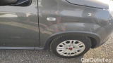  Fiat  Panda 1.0 FireFly 70cv S&S Hybrid #35
