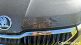  Skoda  Kodiaq 2.0 TDI EVO SCR STYLE DSG 4WD #42