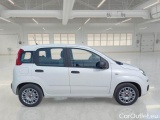  Fiat  Panda FIAT  / 2011 / 5P / BERLINA 1.0 FIREFLY 70CV SeS HYBRID #7