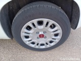  Fiat  Panda FIAT  / 2011 / 5P / BERLINA 1.0 FIREFLY 70CV SeS HYBRID #50