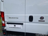  Fiat  Ducato FIAT  / 2014 / 4P / FURGONE 35 MH2 2.2 MJT3 140CV E6D-FIN #46