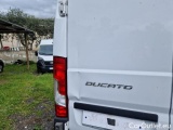  Fiat  Ducato FIAT  / 2014 / 4P / FURGONE 35 MH2 2.2 MJT3 140CV E6D-FIN #48