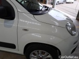  Fiat  Panda FIAT  / 2012 / 5P / BERLINA 900CC 85CV VAN EU6D 4X4 2P.POP #38