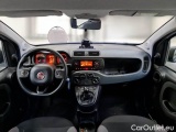  Fiat  Panda FIAT  / 2012 / 5P / BERLINA 1.2 69 CV VAN EURO6D 4 POSTI EASY #3