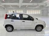 Fiat  Panda FIAT  / 2012 / 5P / BERLINA 1.2 69 CV VAN EURO6D 4 POSTI EASY #7