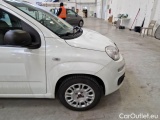  Fiat  Panda FIAT  / 2012 / 5P / BERLINA 1.2 69 CV VAN EURO6D 4 POSTI EASY #48