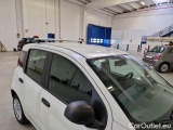  Fiat  Panda FIAT  / 2012 / 5P / BERLINA 1.2 69 CV VAN EURO6D 4 POSTI EASY #50
