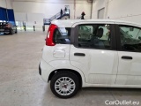  Fiat  Panda FIAT  / 2012 / 5P / BERLINA 1.2 69 CV VAN EURO6D 4 POSTI EASY #58