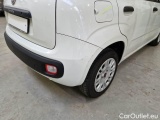  Fiat  Panda FIAT  / 2012 / 5P / BERLINA 1.2 69 CV VAN EURO6D 4 POSTI EASY #60