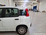  Fiat  Panda FIAT  / 2012 / 5P / BERLINA 1.2 69 CV VAN EURO6D 4 POSTI EASY #69