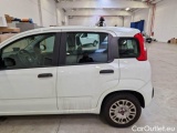  Fiat  Panda FIAT  / 2012 / 5P / BERLINA 1.2 69 CV VAN EURO6D 4 POSTI EASY #71