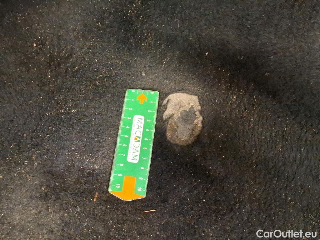  Ford  Focus  Turnier Trend Business 1.5 EcoBlue 120CV BVM6 E6dT #20