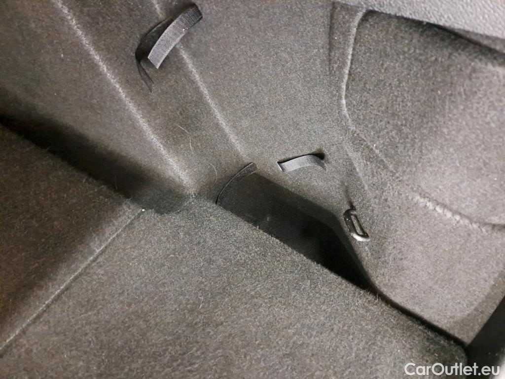  Ford  Focus  Break Trend 1.5 EcoBlue 95CV BVM6 E6dT #14