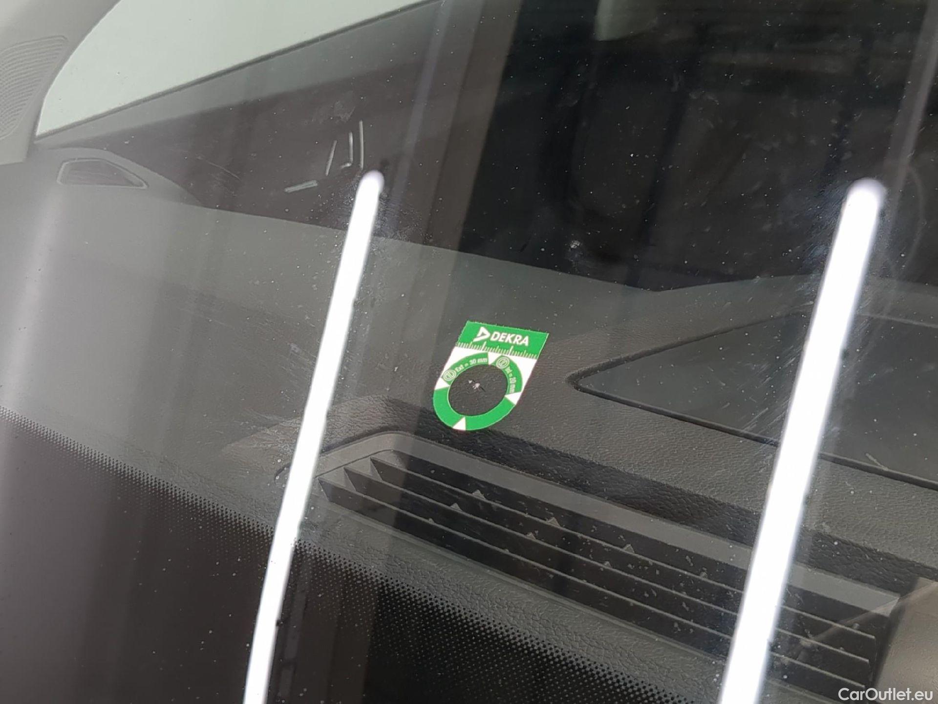  Skoda  Karoq  Business 2.0 TDI 115CV BVM6 E6d #1