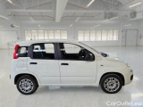  Fiat  Panda FIAT  / 2011 / 5P / BERLINA 1.2 69CV SeS E6D-TEMP EASY #7