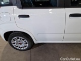  Fiat  Panda FIAT  / 2011 / 5P / BERLINA 1.2 69CV SeS E6D-TEMP EASY #29