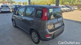  Fiat  Panda 1.0 FireFly 70cv S&S Hybrid #3