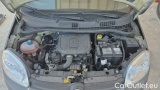  Fiat  Panda 1.0 FireFly 70cv S&S Hybrid #15