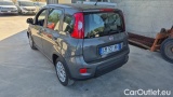  Fiat  Panda 1.0 FireFly 70cv S&S Hybrid #3