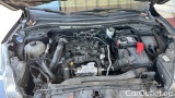  Ford  Kuga 1.5 EcoBlue 120CV 2WD ST-Line Auto #15