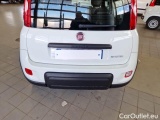  Fiat  Panda FIAT  / 2011 / 5P / BERLINA 1.0 FIREFLY 70CV SeS HYBRID CITY LIFE #30