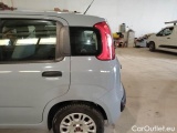  Fiat  Panda FIAT  / 2011 / 5P / BERLINA 1.0 FIREFLY 70CV SeS HYBRID #66