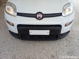  Fiat  Panda FIAT  / 2011 / 5P / BERLINA 1.0 FIREFLY 70CV SeS HYBRID #21