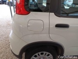  Fiat  Panda FIAT  / 2011 / 5P / BERLINA 1.0 FIREFLY 70CV SeS HYBRID #33