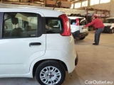  Fiat  Panda FIAT  / 2011 / 5P / BERLINA 1.0 70CV SeS HYBRID #66