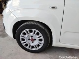  Fiat  Panda FIAT  / 2011 / 5P / BERLINA 1.0 70CV SeS HYBRID #89