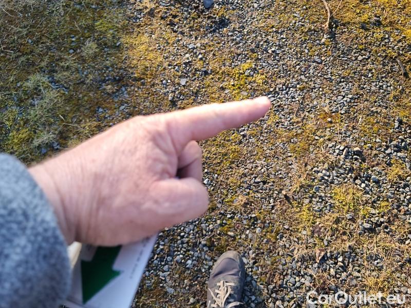  Skoda  Octavia  Combi (NX3)(2020) Oct.Combi 2.0TDI 85 Ambition #62