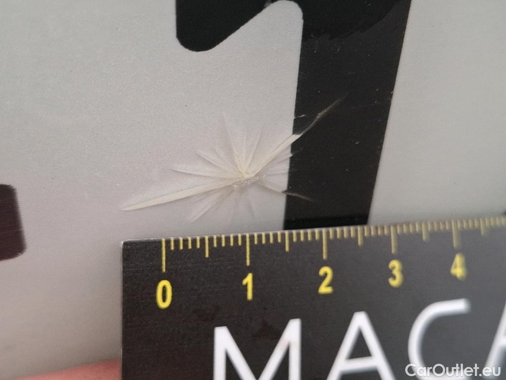  Renault  Megane  IV Berline 5pt. Business 1.5 dCi 115CV BVM6 E6dT / TRANSFO VP VF #31