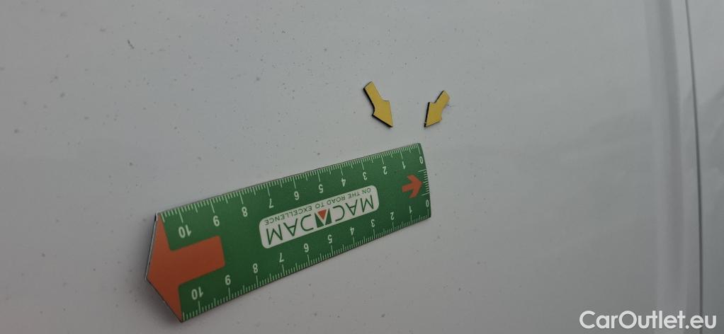  Renault  Kangoo  II Express Maxi Extra (Série Spéciale) 1.5 dCi 95CV BVM6 E6dT #21